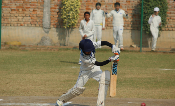 Cricket.png