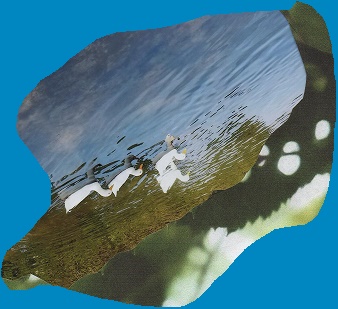 Duck leaf 2.jpg
