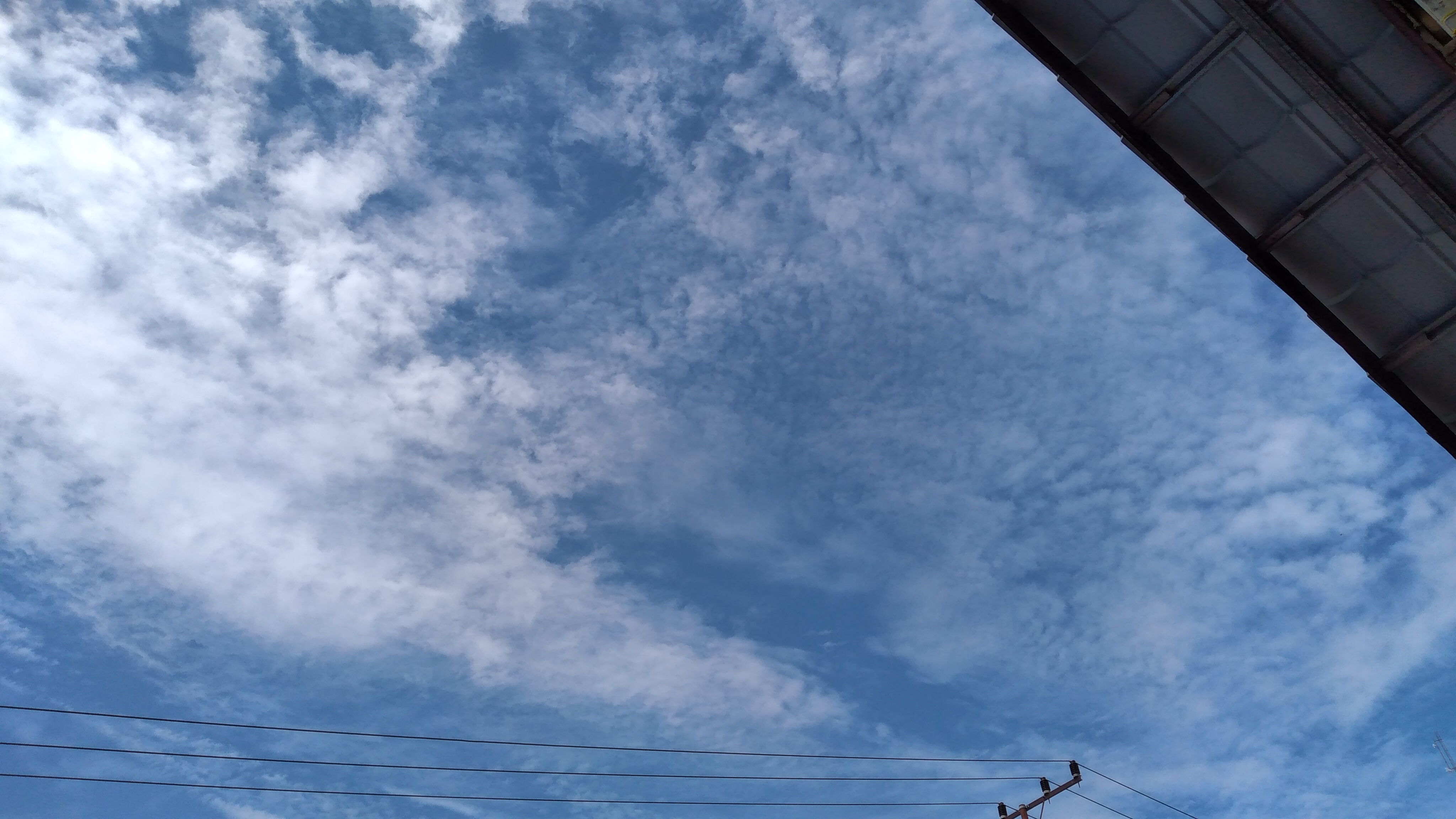 20220914_101453.jpg