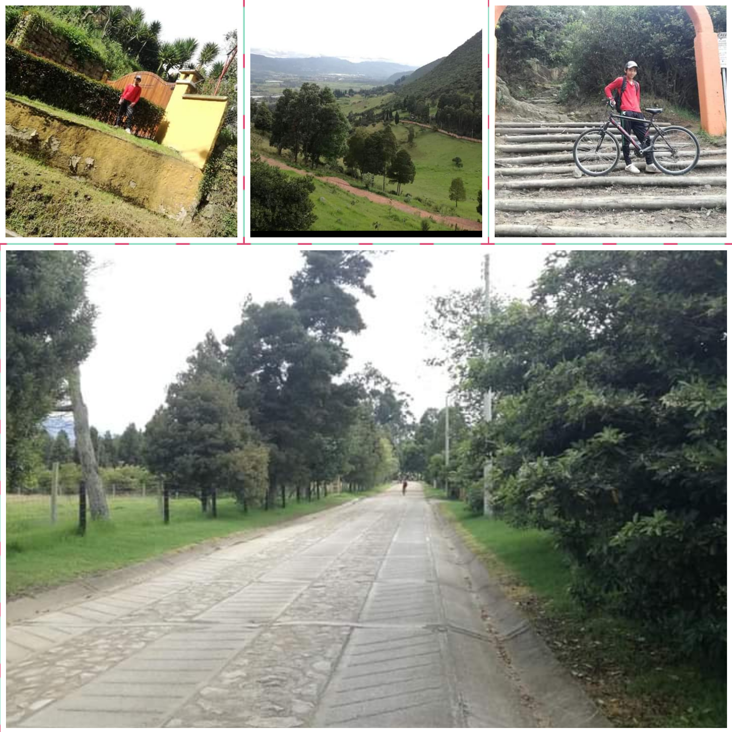 Editor de Fotocollages_iB2RFl.png