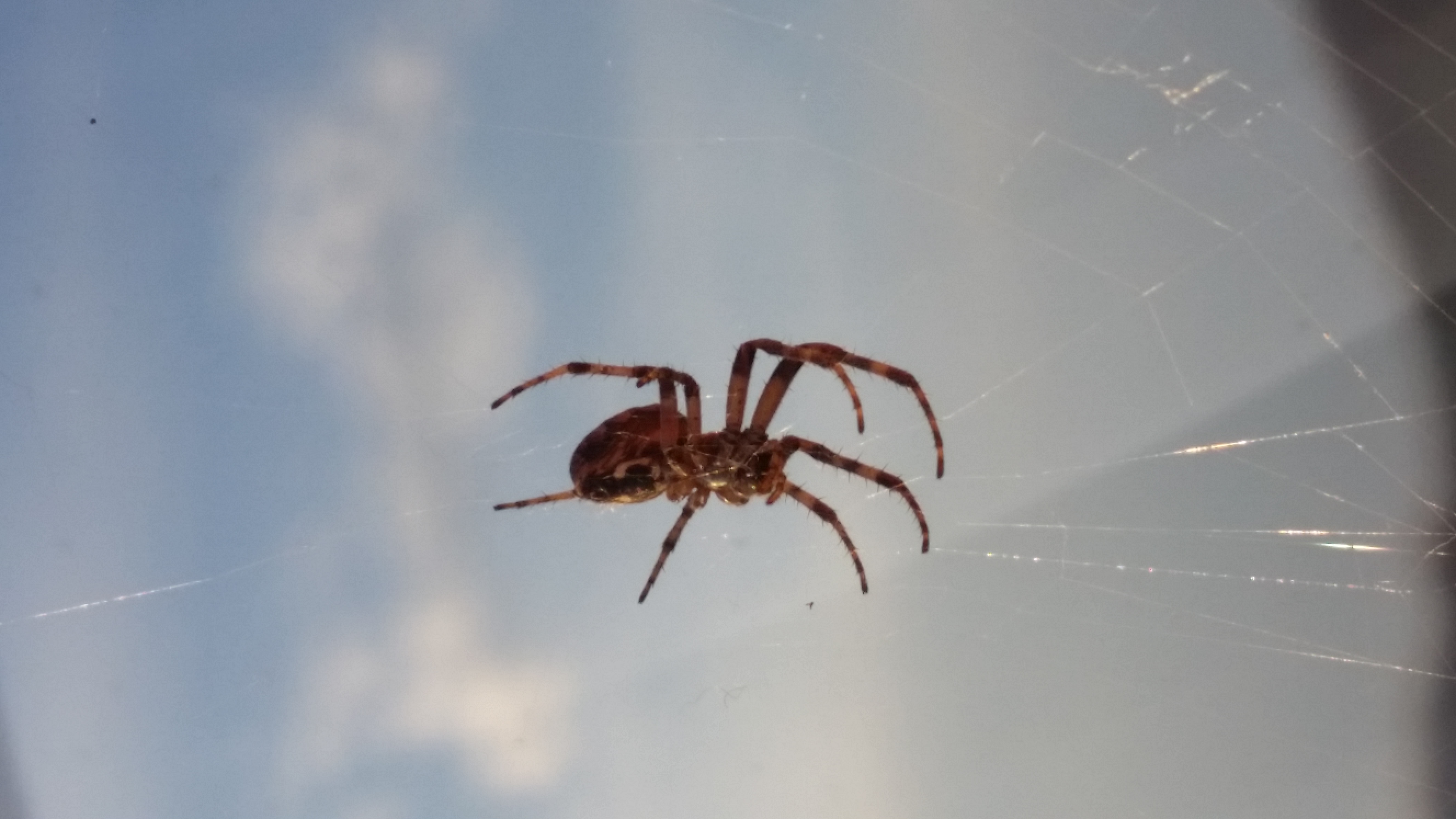 20180531_193609.jpg