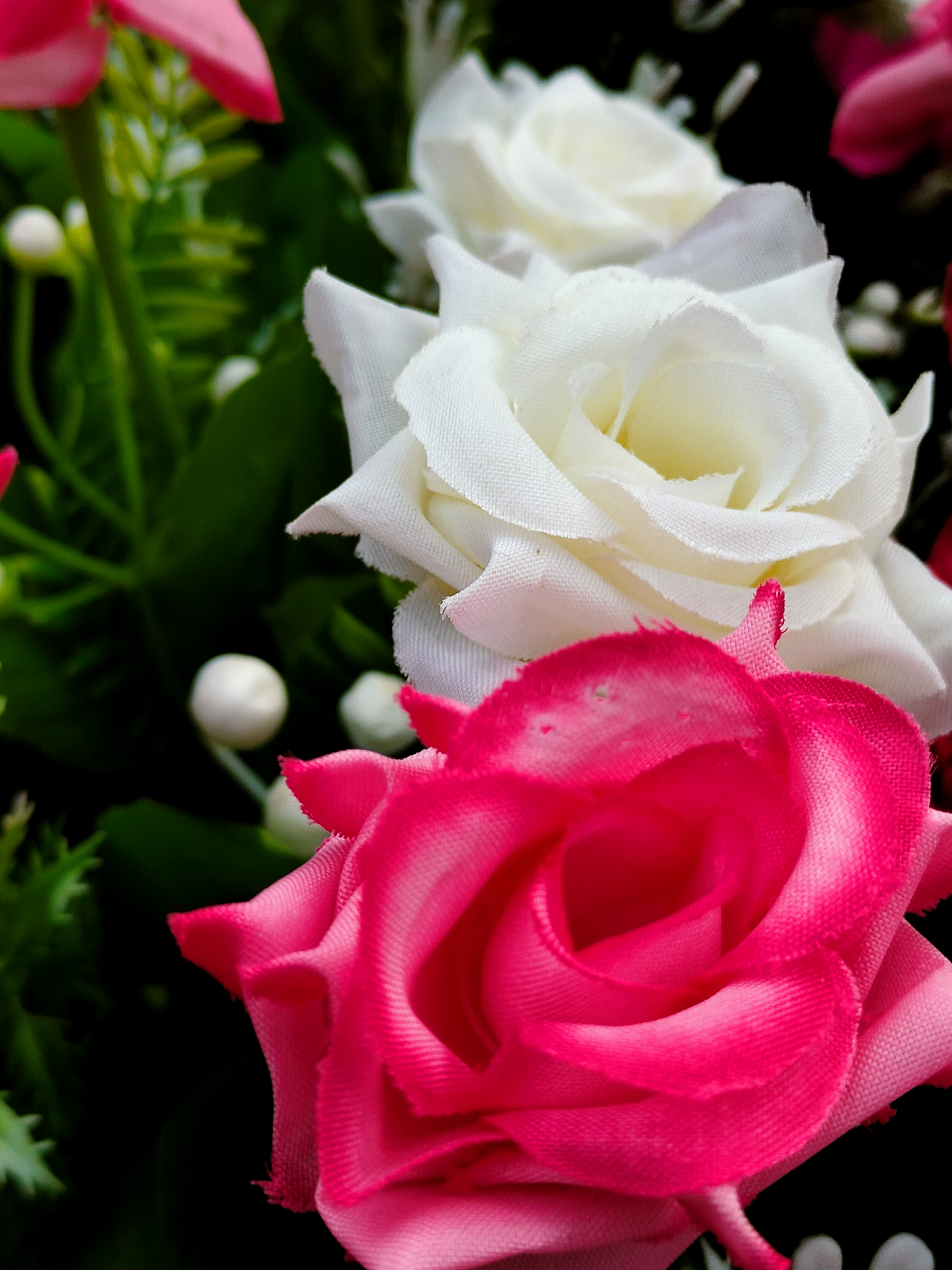 IMG20221017162012.jpg