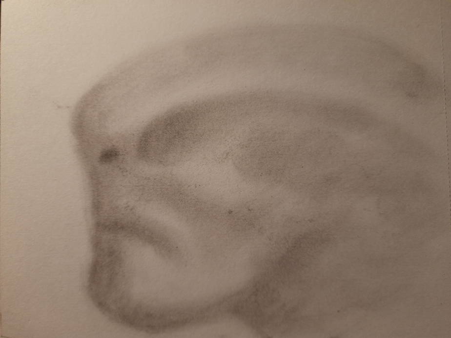 20260718_102336.jpg