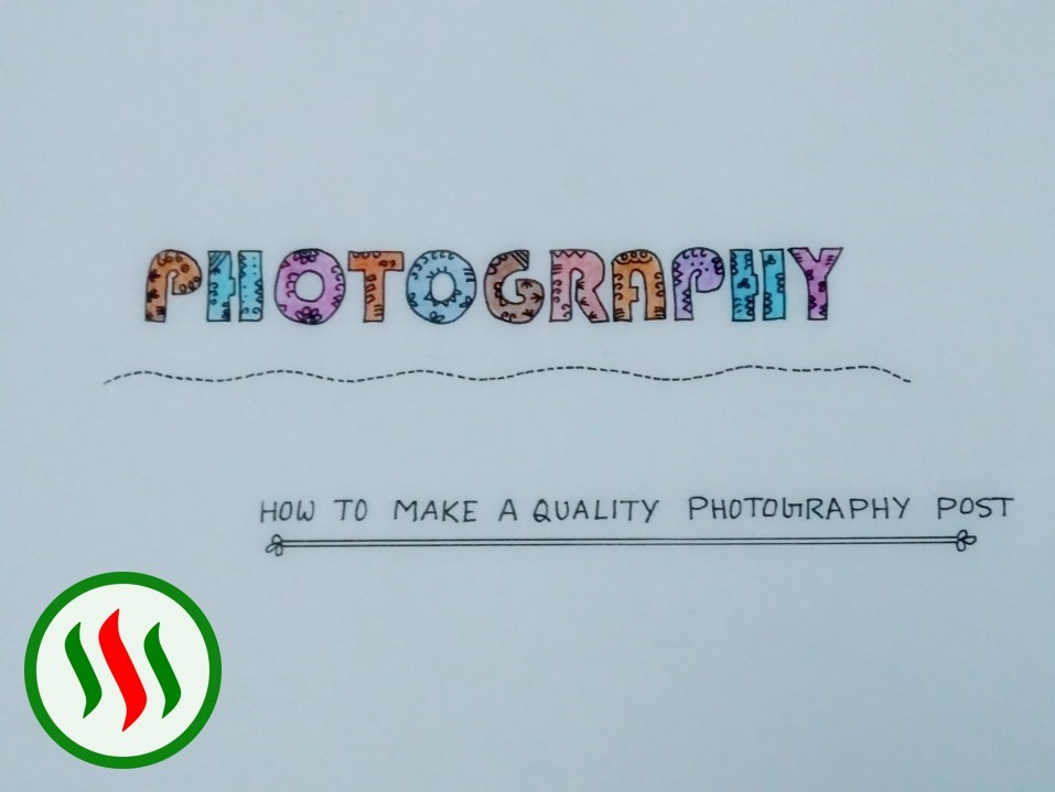 pp 5.jpg