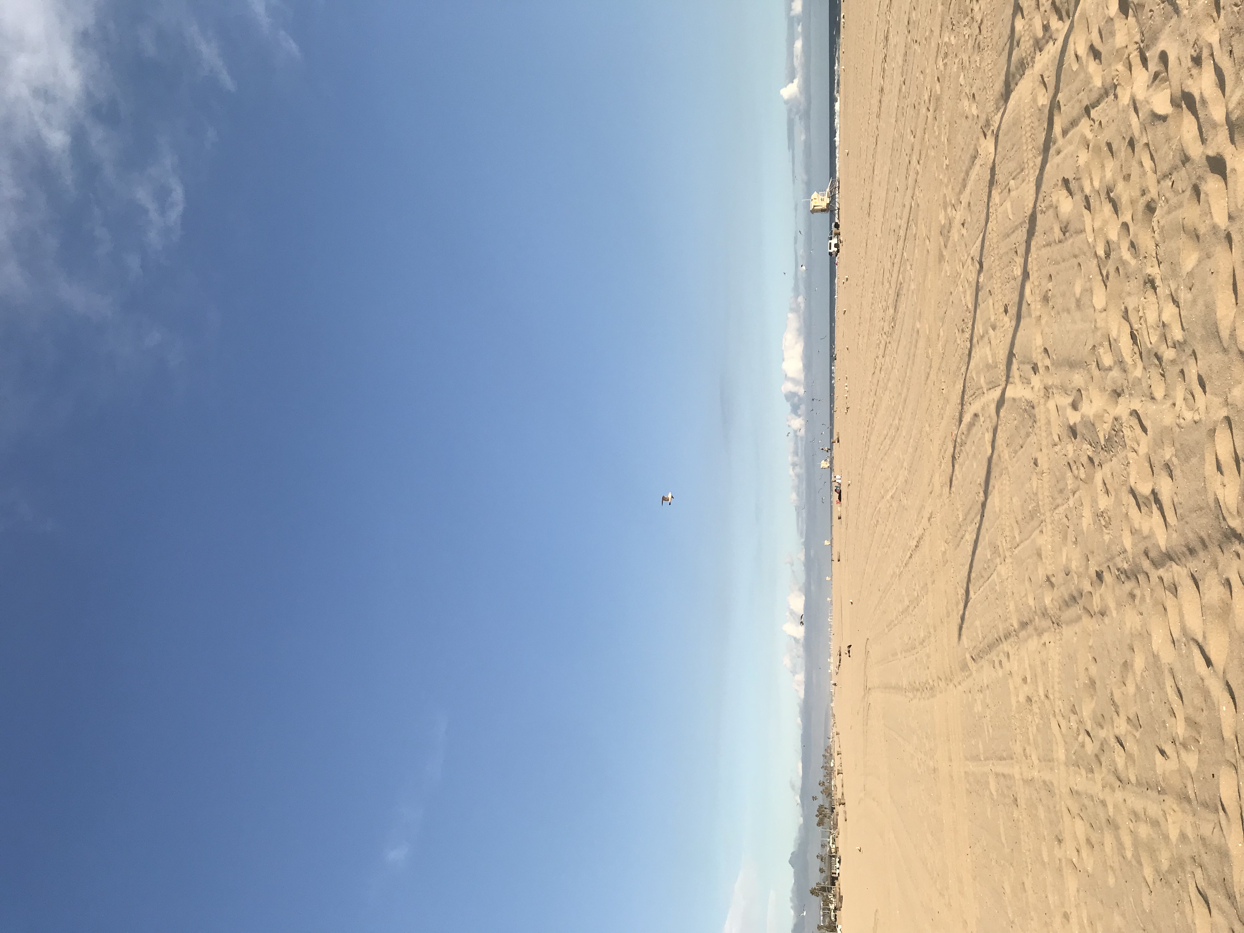 8D00E042-529C-41C9-8812-460A6393612E.jpeg
