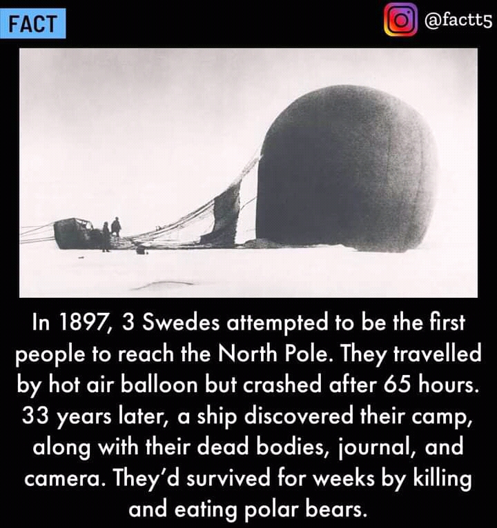FB_IMG_16376797790795095.jpg