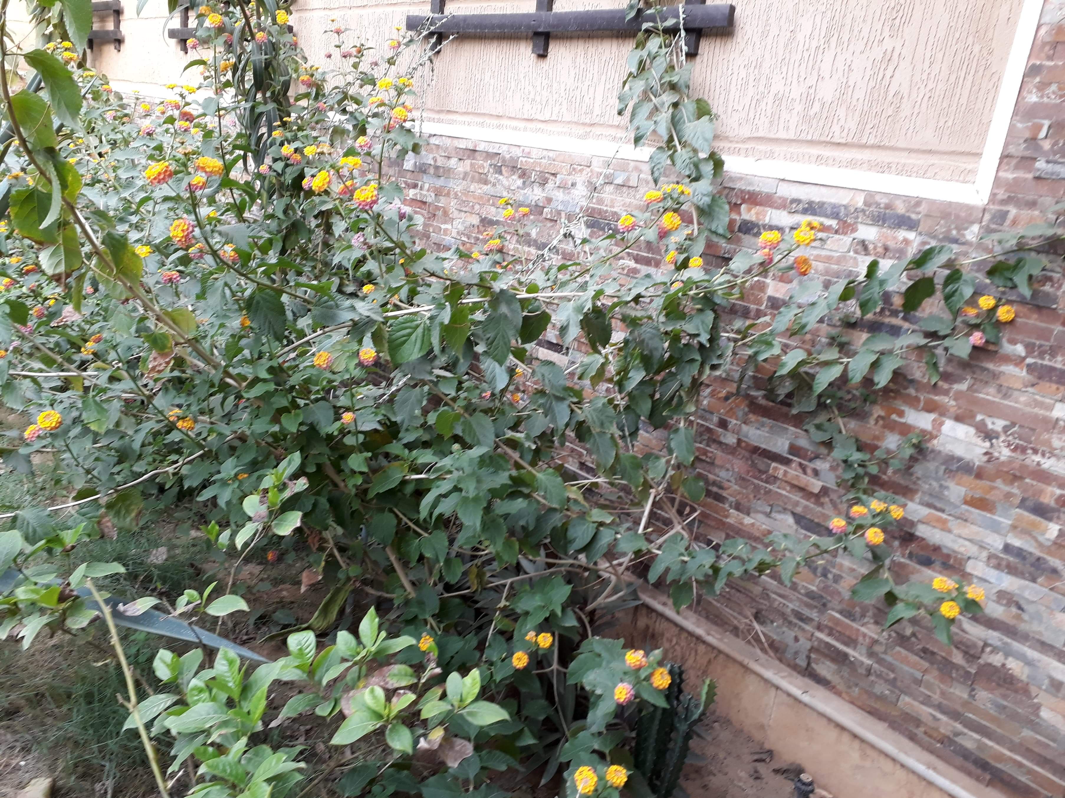 received_349988058995932.jpeg