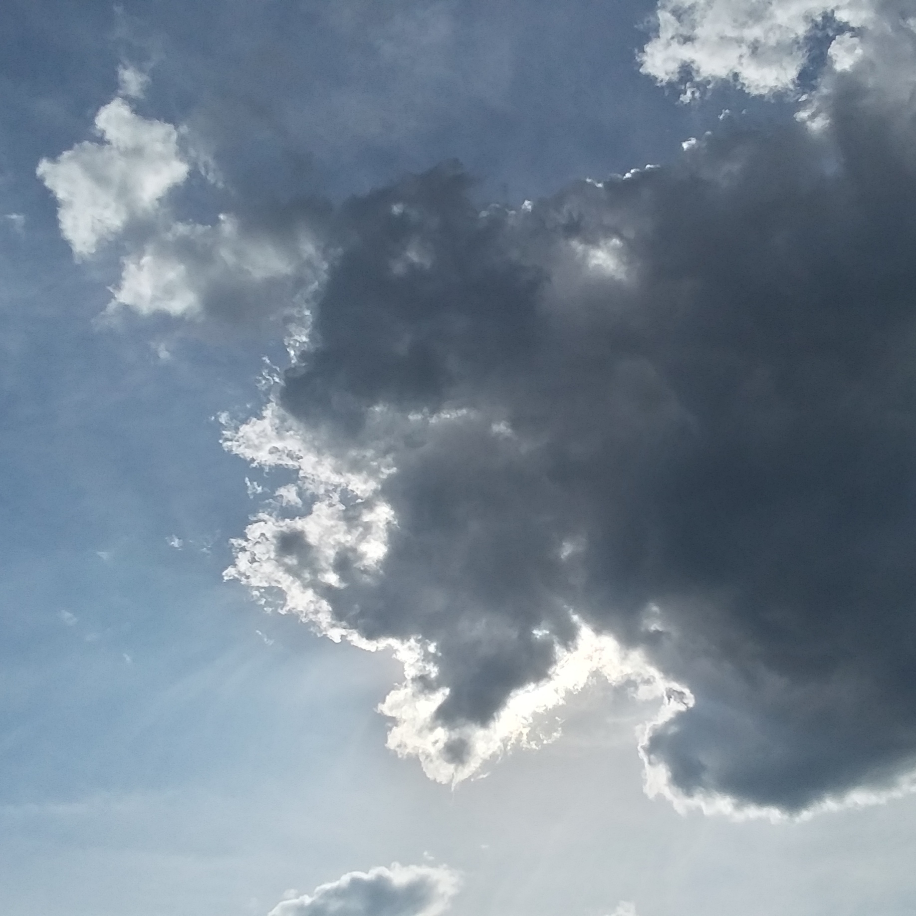 20190817_165628.jpg