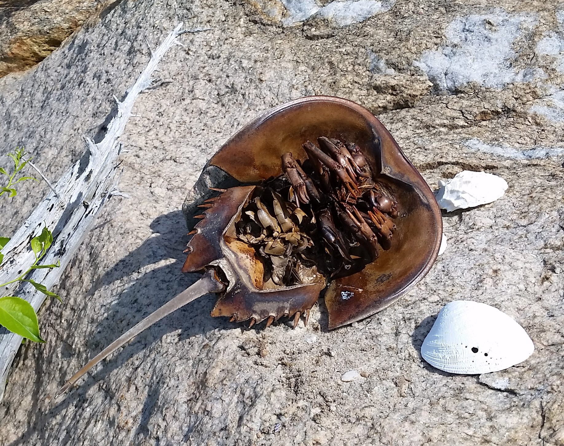 july15beach4.jpg
