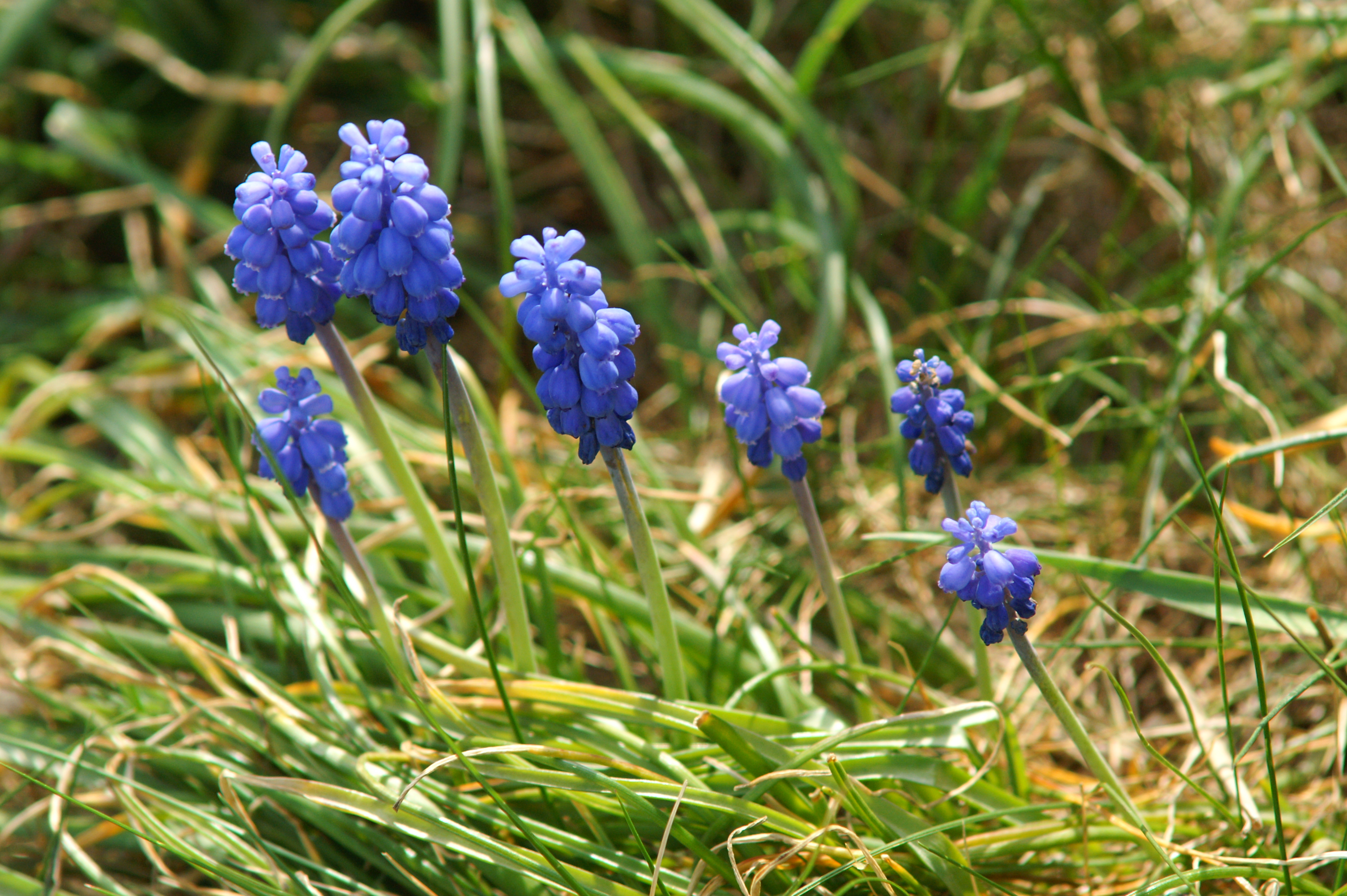 PICT6388.JPG