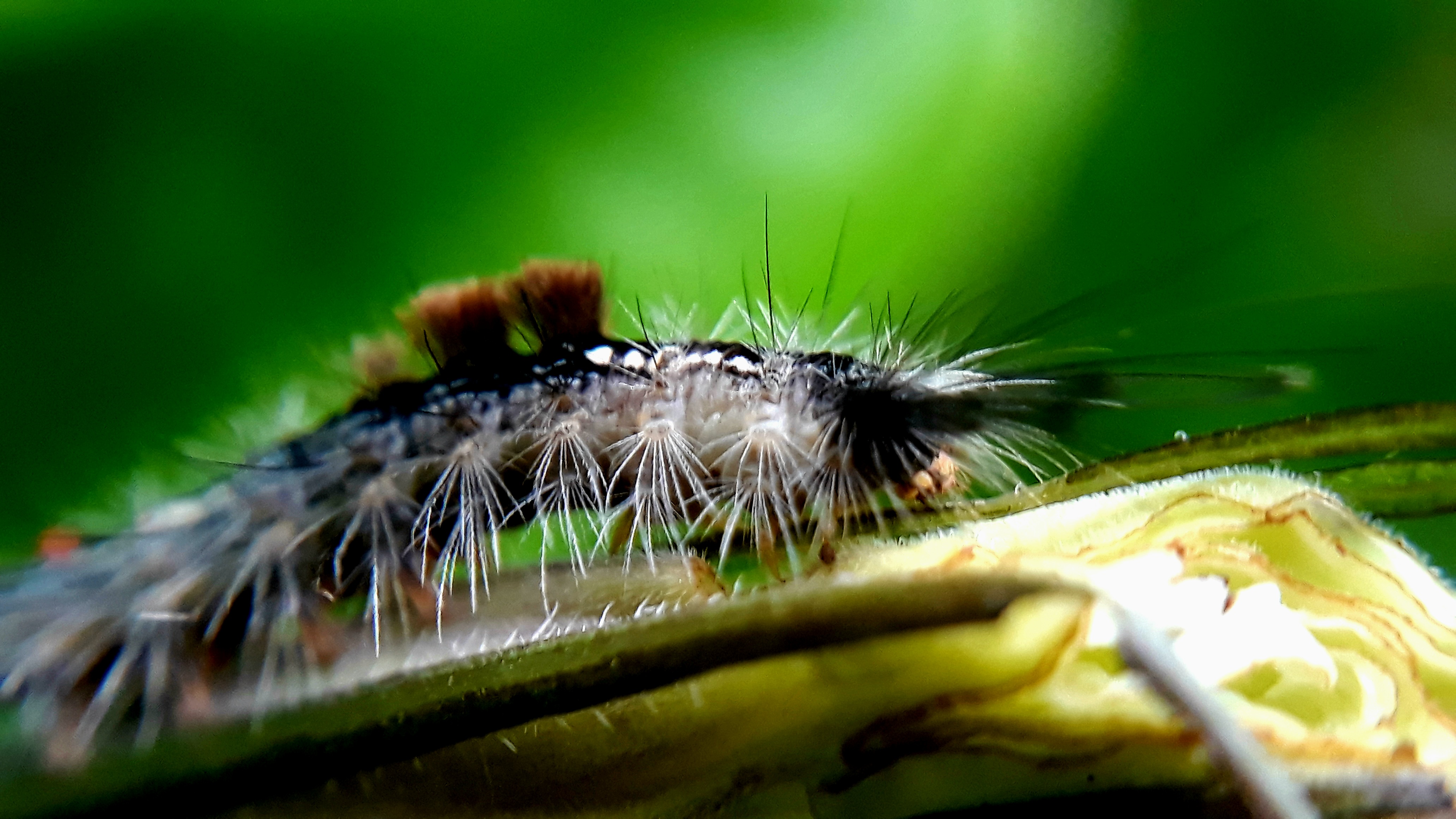 20210528_201621.jpg