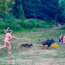 images (37).jpeg
