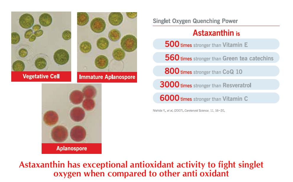 Astaxanthin.png