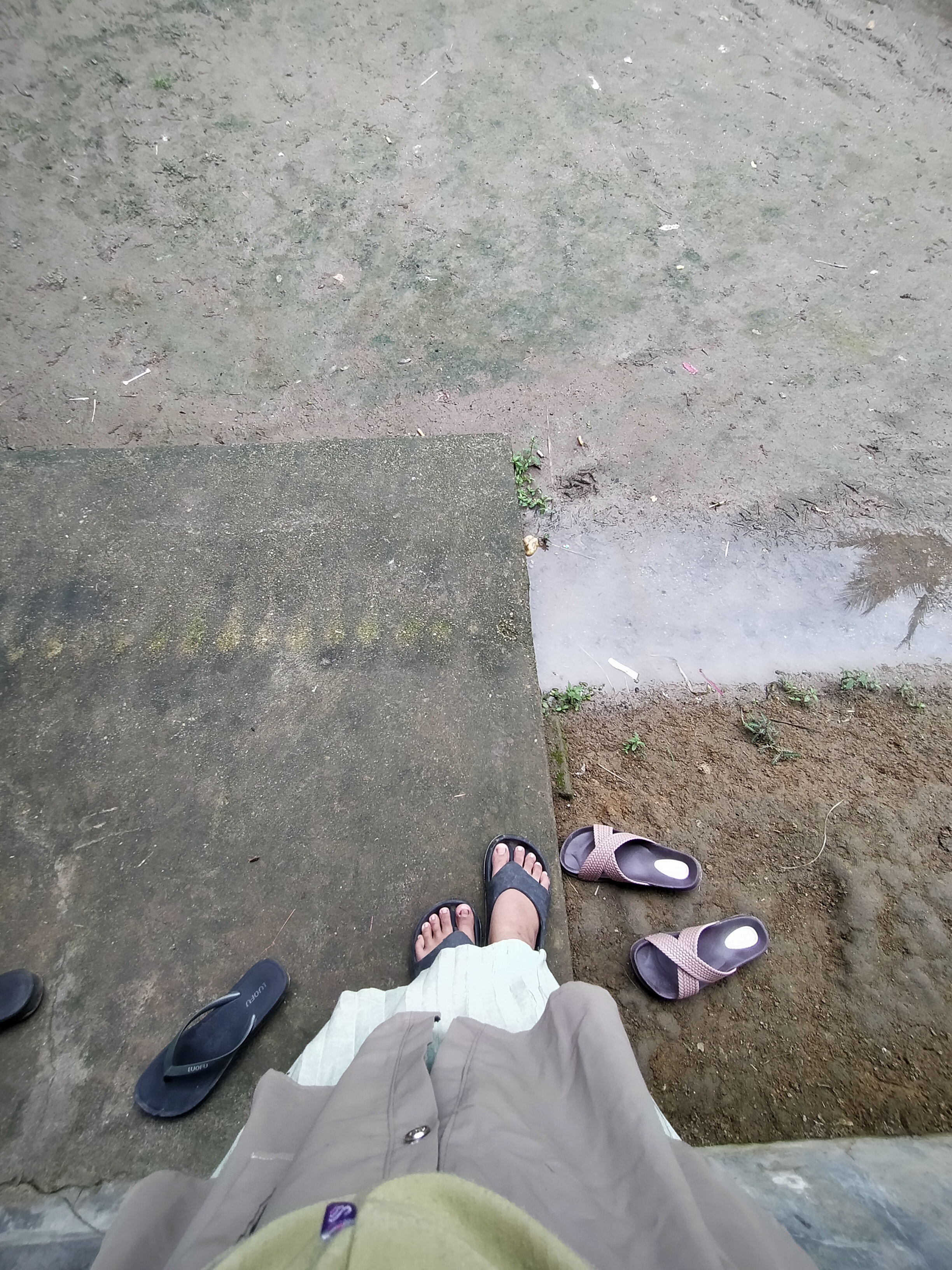 IMG20250117115349.jpg