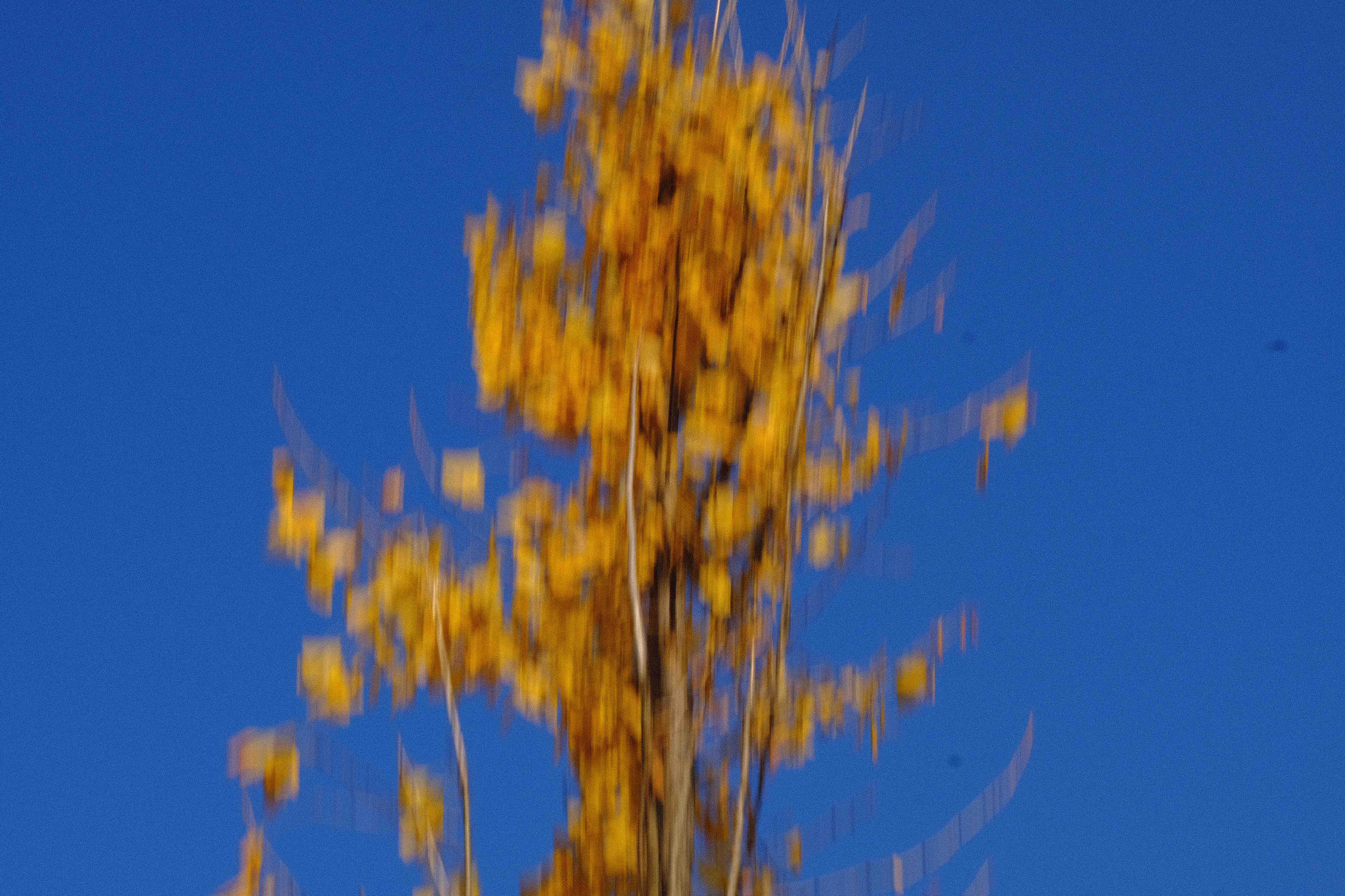 DSCF1687.jpg