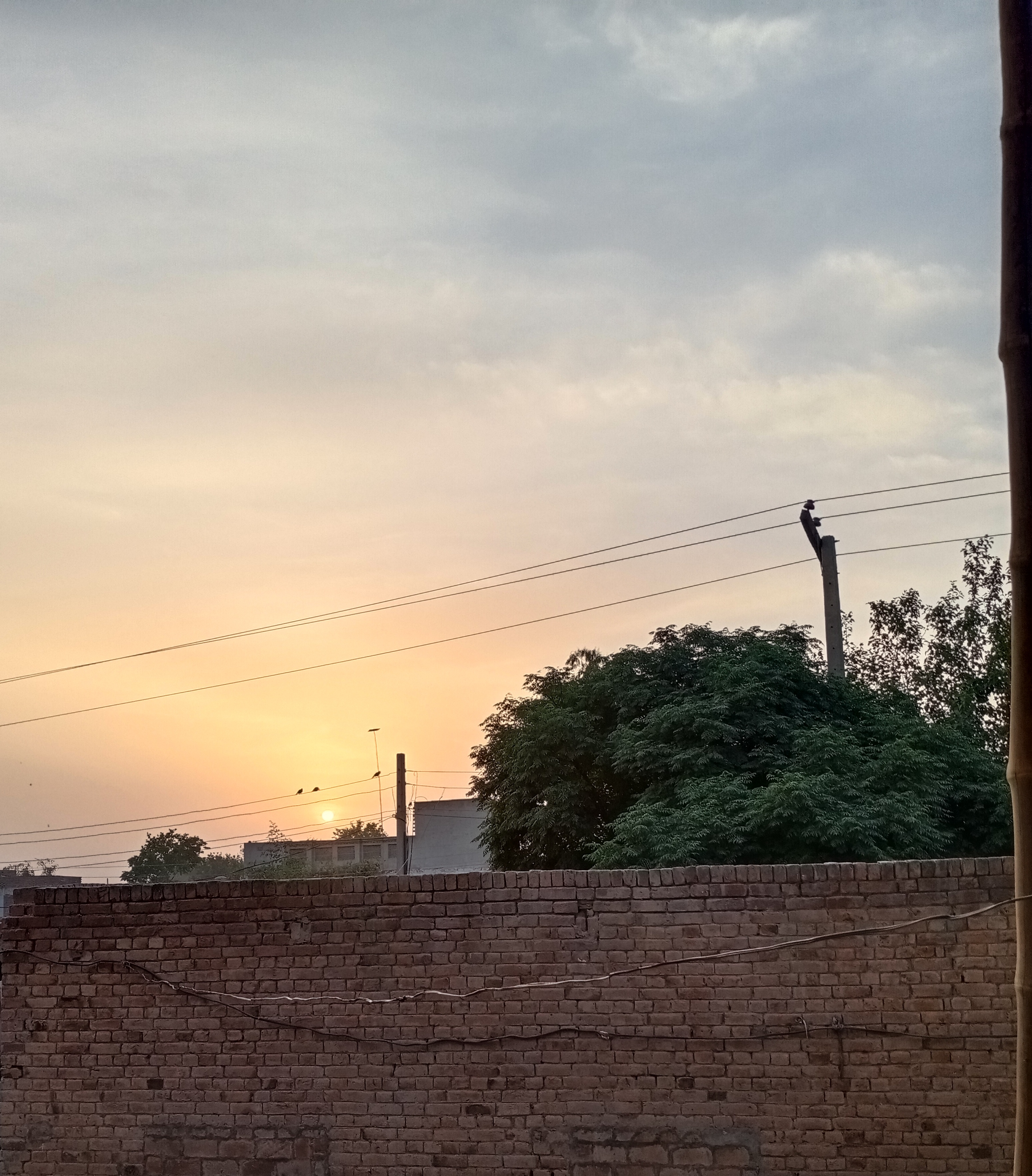 IMG_20210501_162619.jpg