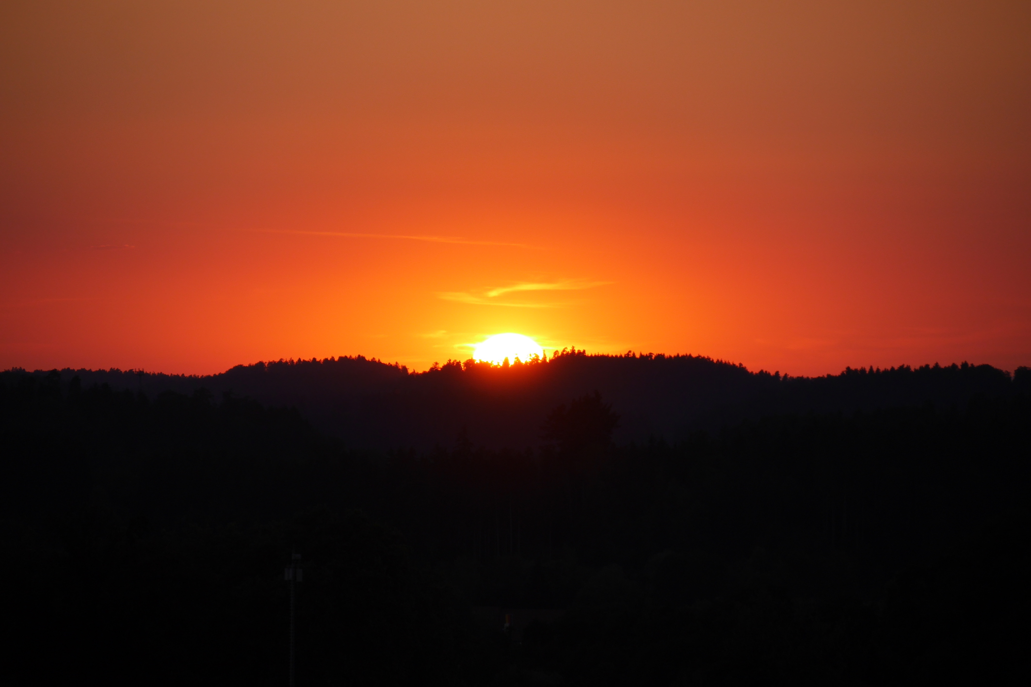 P1000859.JPG
