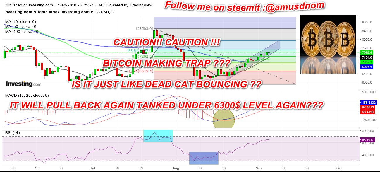 Bitocin Analysis -05-08-2018-1.png