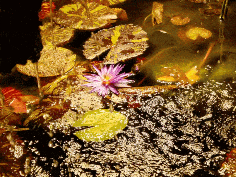 20190310_220258.gif