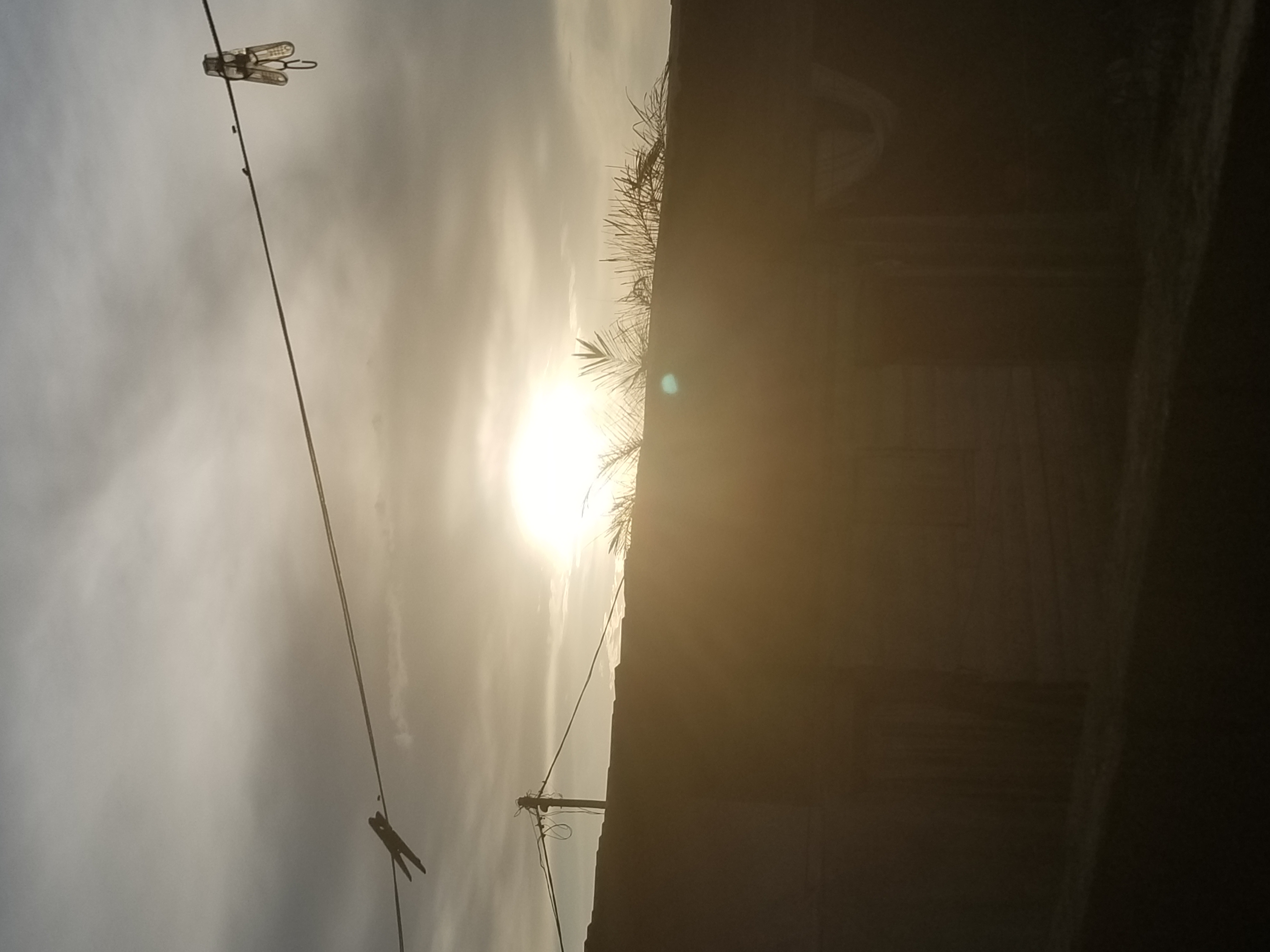 20211004_173853.jpg