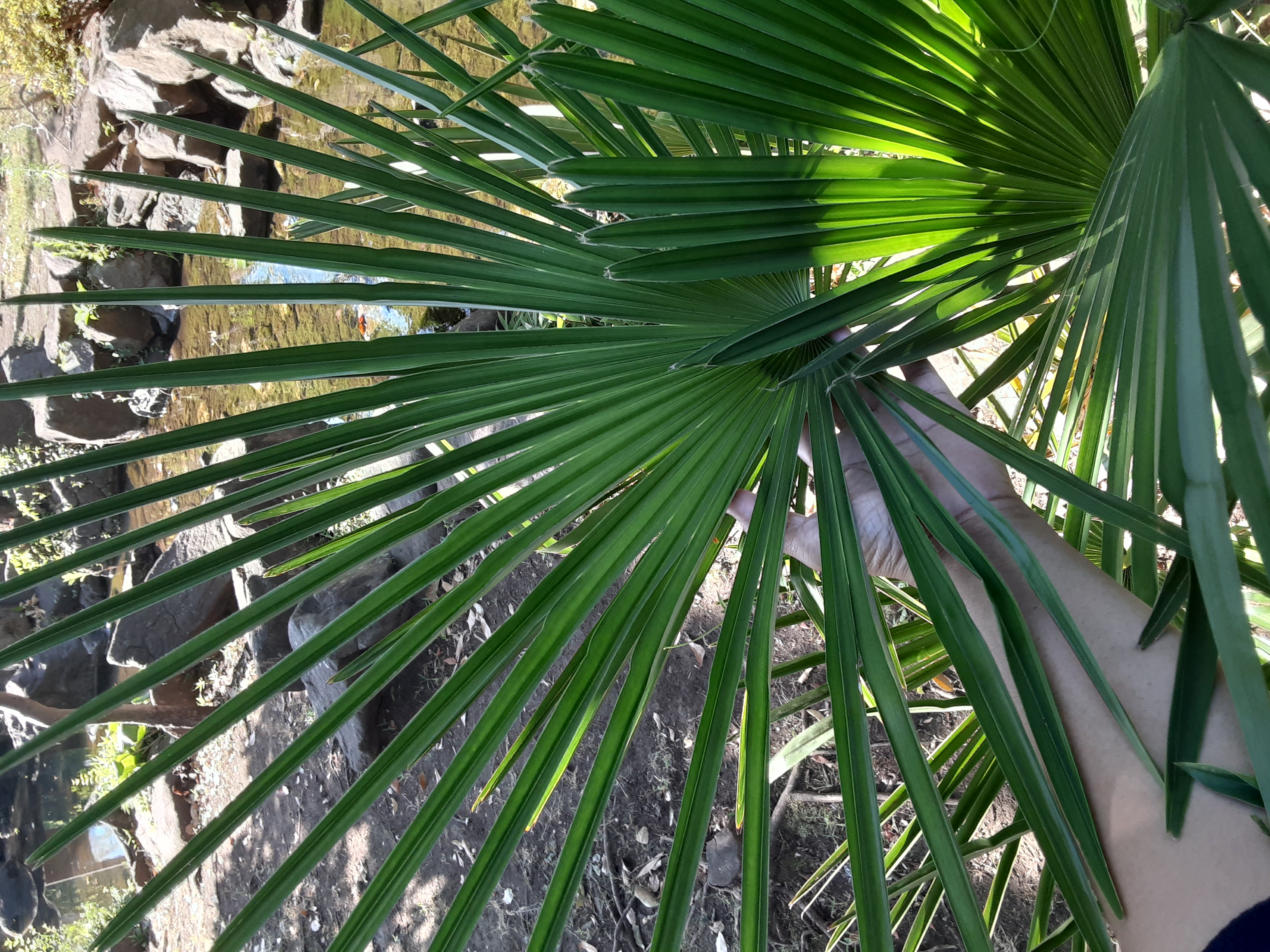 20230723_161129.jpg