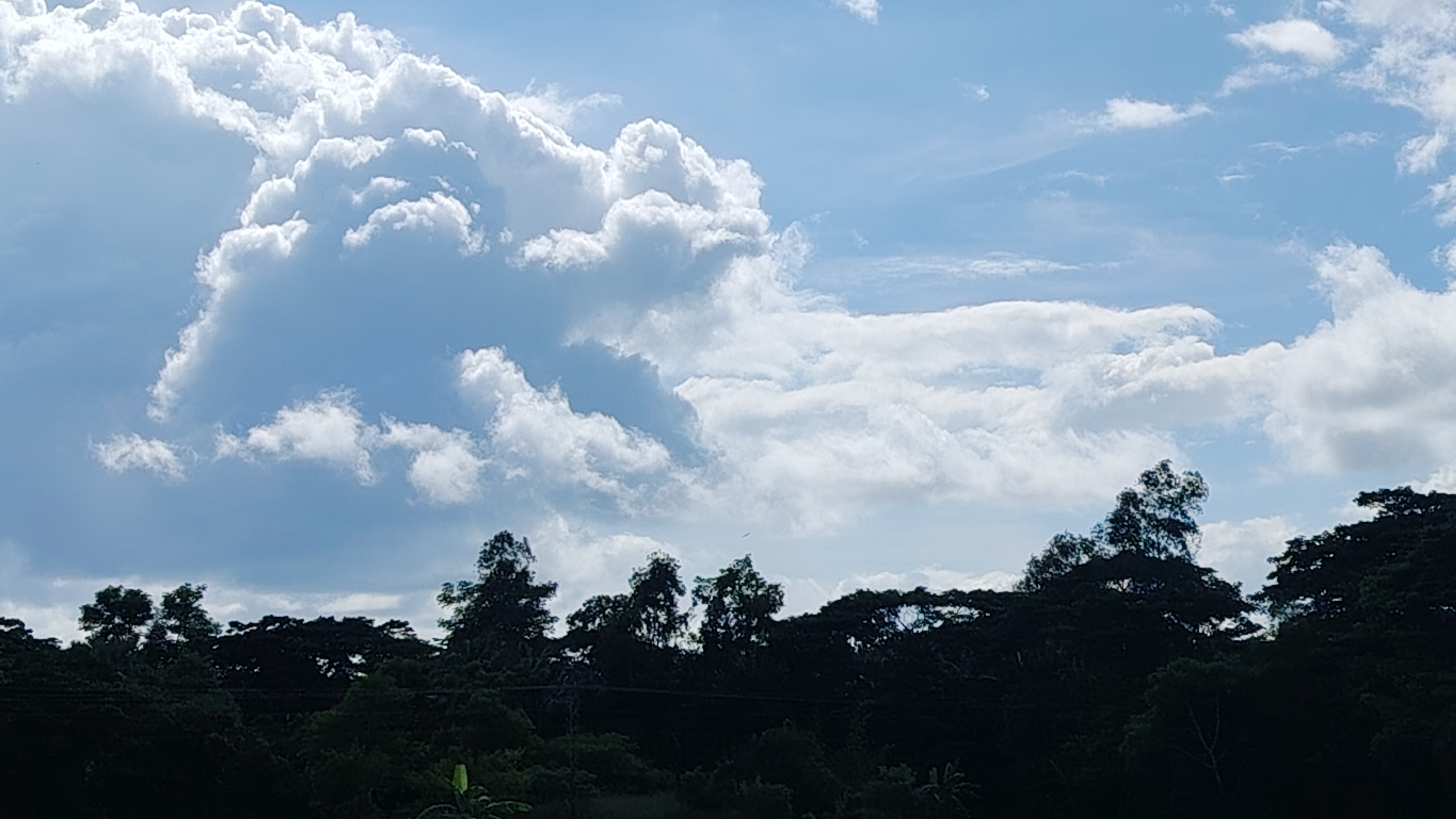 Betterlife - The Diary Game | 21 October, 2026 | A beautiful Day office and afternoon travelling.
