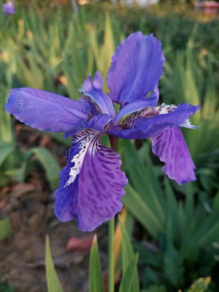 FB_IMG_16442063780383508.jpg