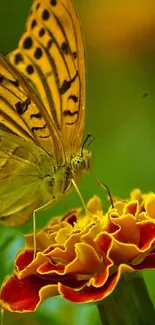 image_search_1735628493583.webp
