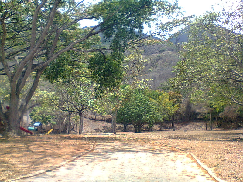 main_image