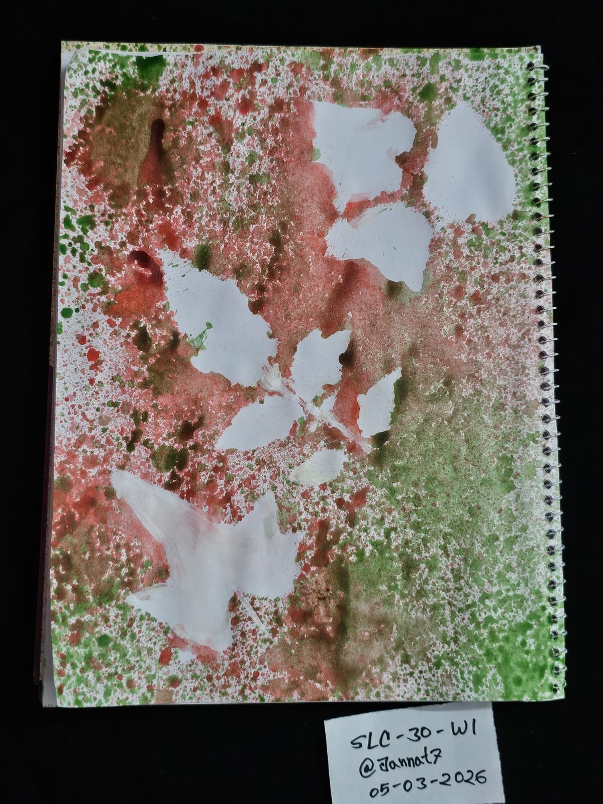 1000072371.jpg