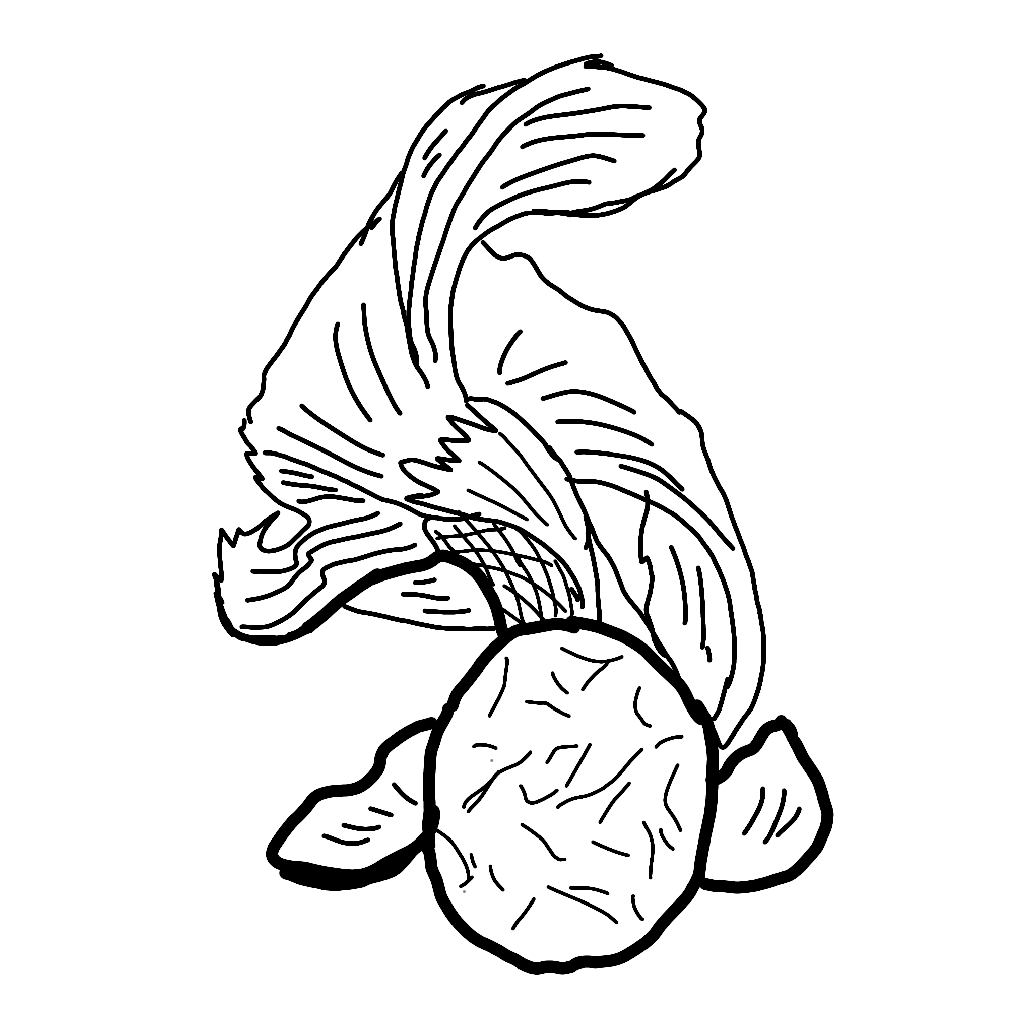 1000915271.png