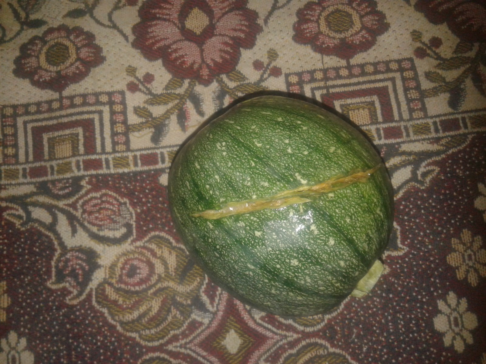 kaddughar2.jpg