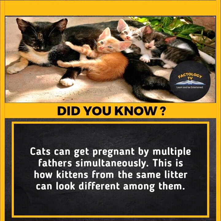 FB_IMG_16660065119367560.jpg