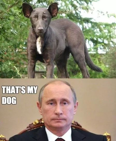 FB_IMG_1603033646011.jpg