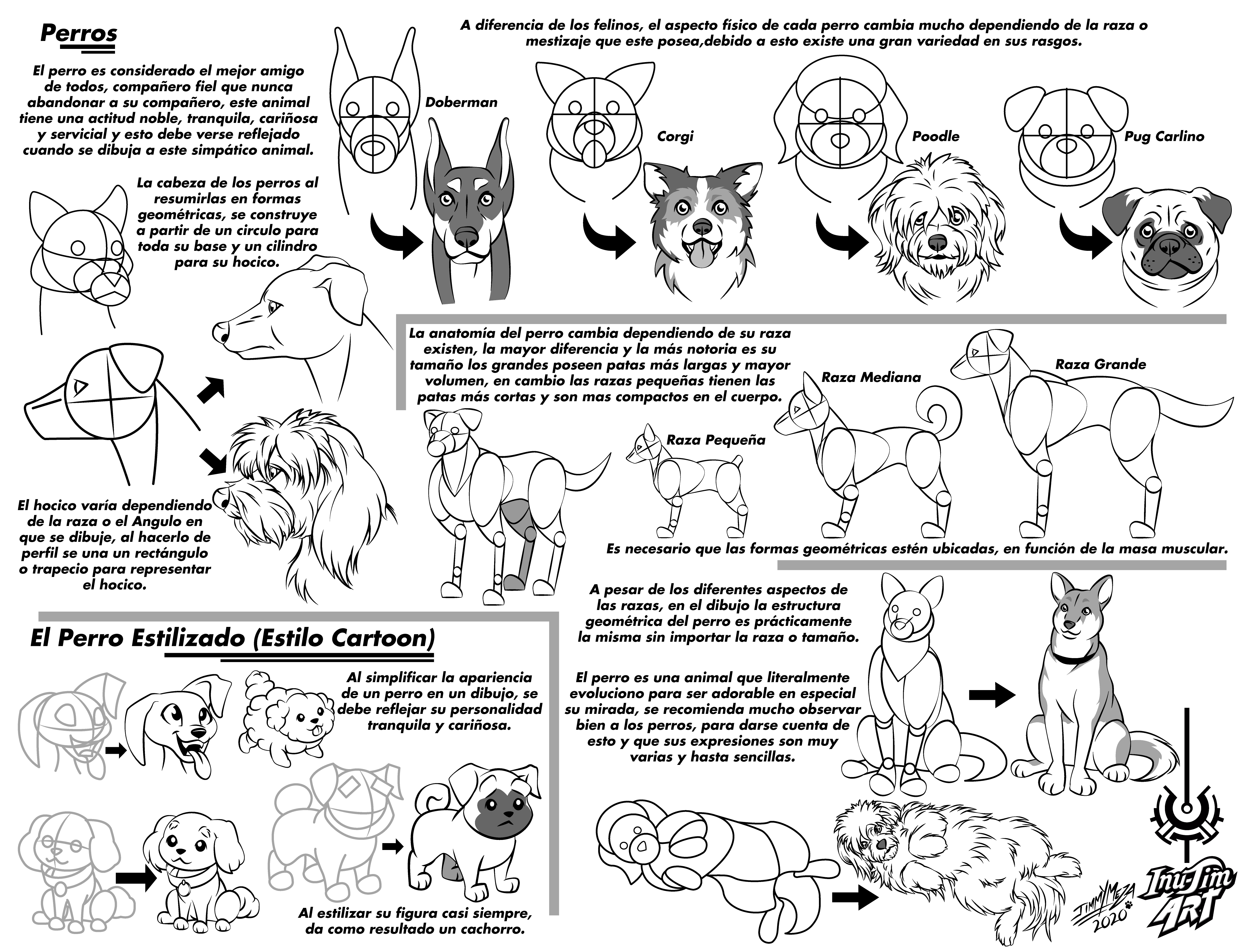 Perros.png