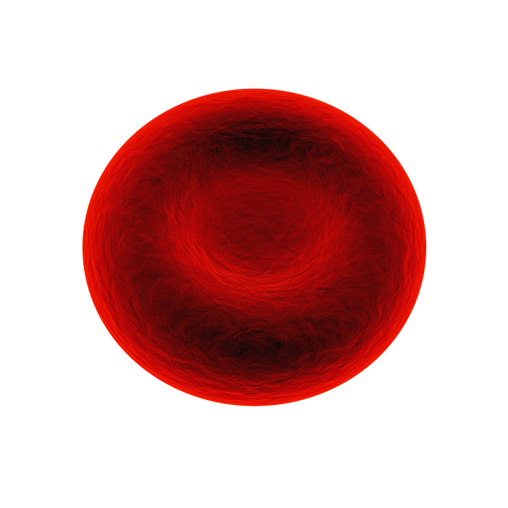 red-blood-cell-1861640_960_720.webp