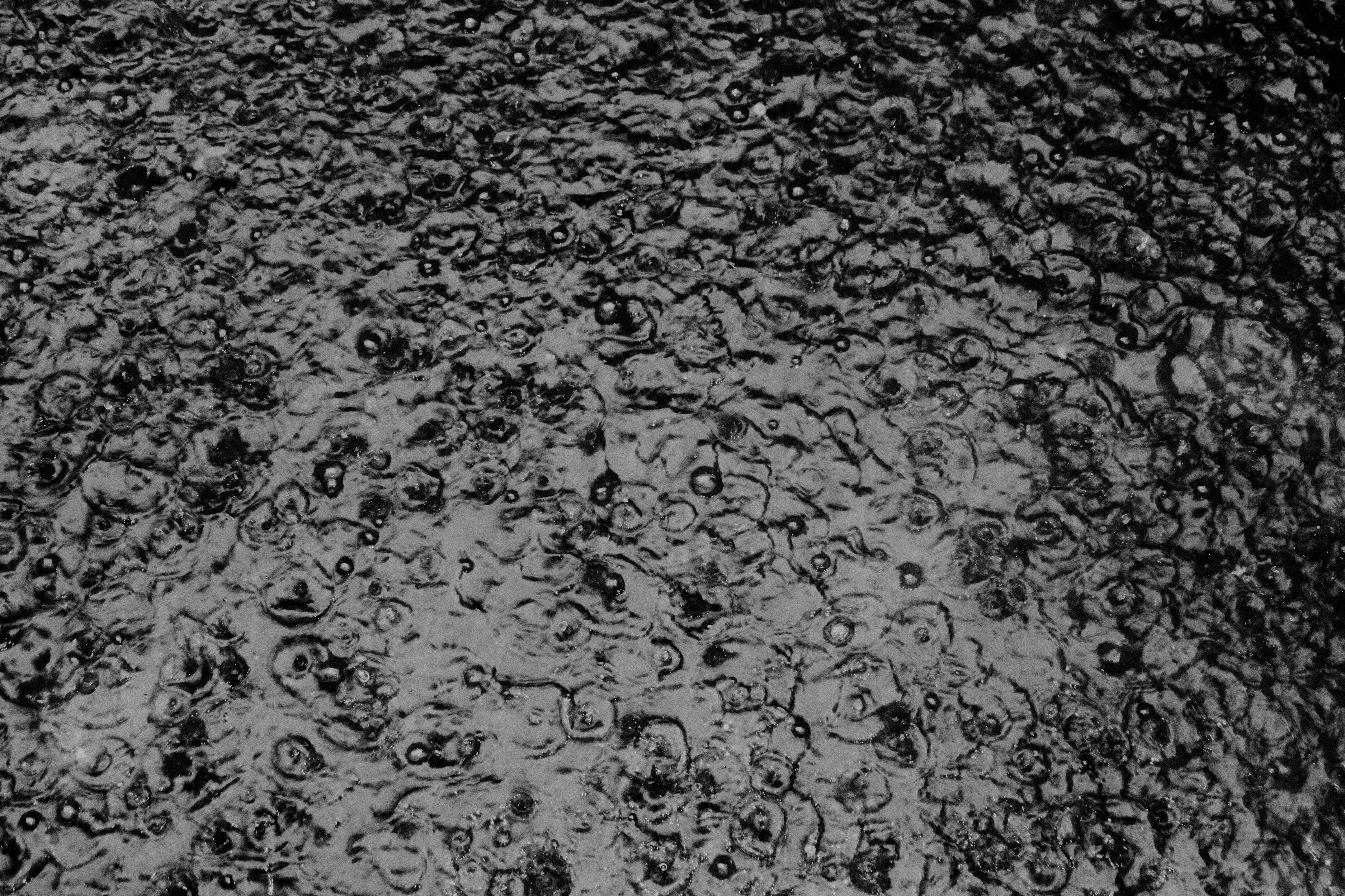 DSCF5930.jpg