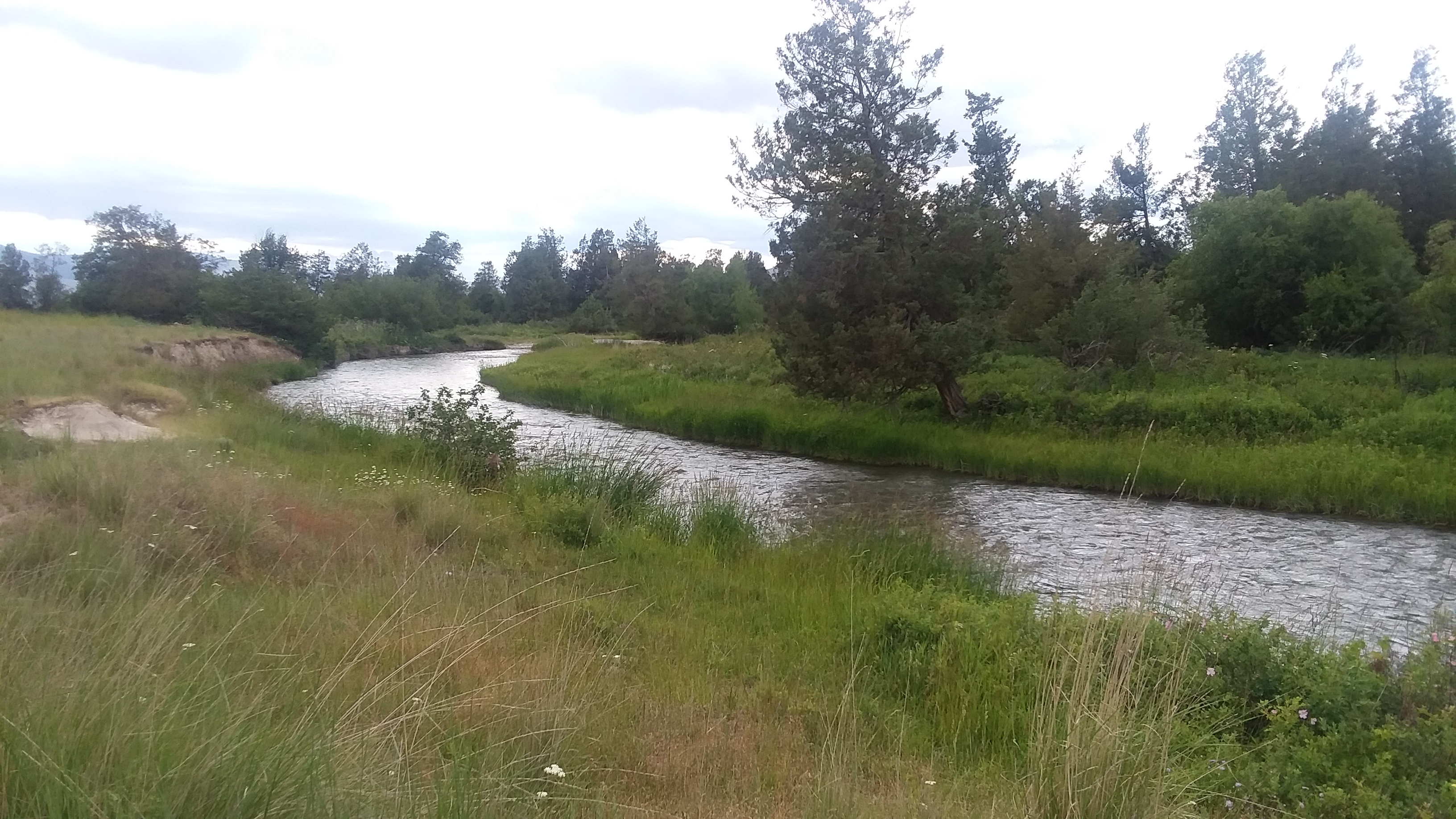 20190623_180743.jpg
