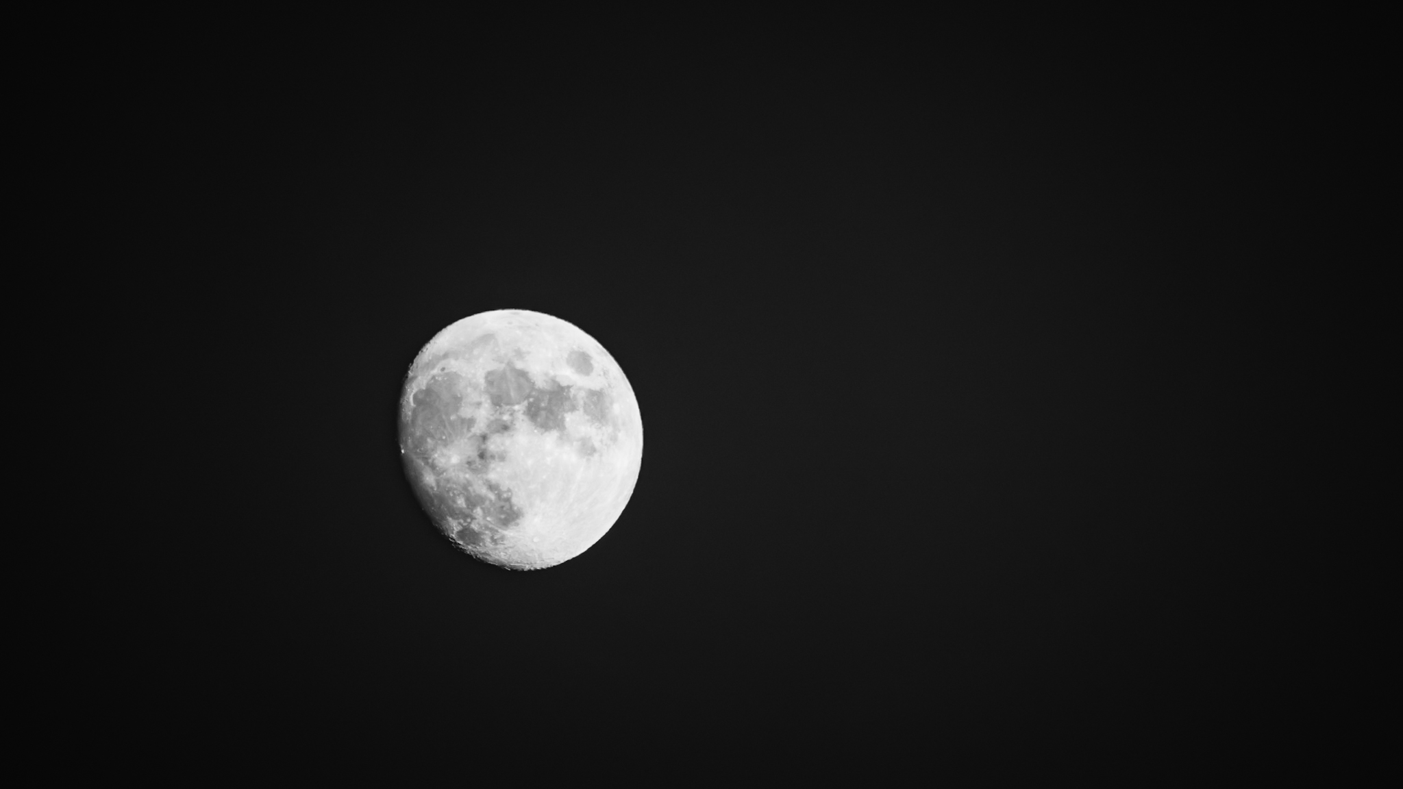 20221105-DSC01940 (1).jpeg