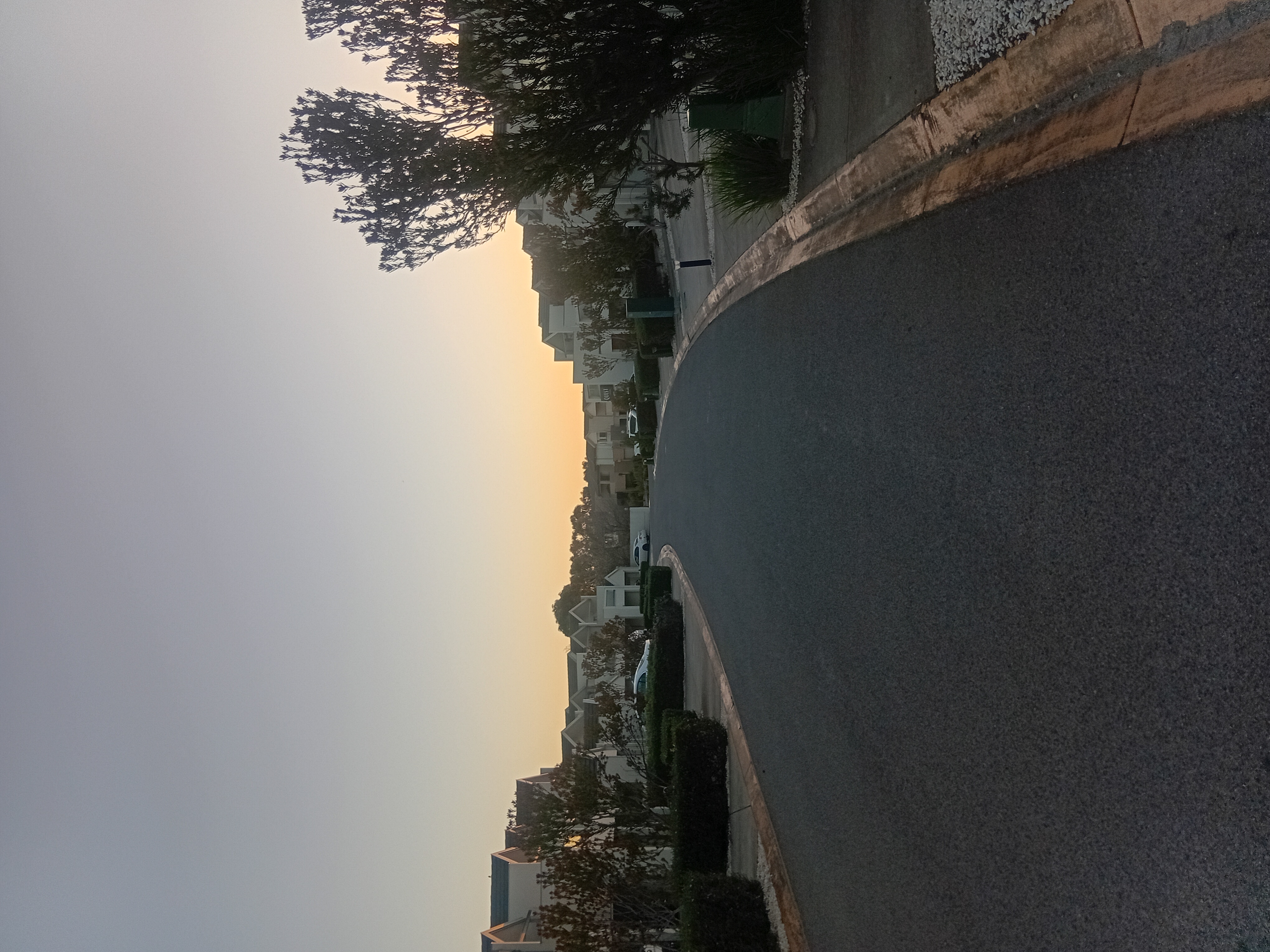 20260830_174800.jpg