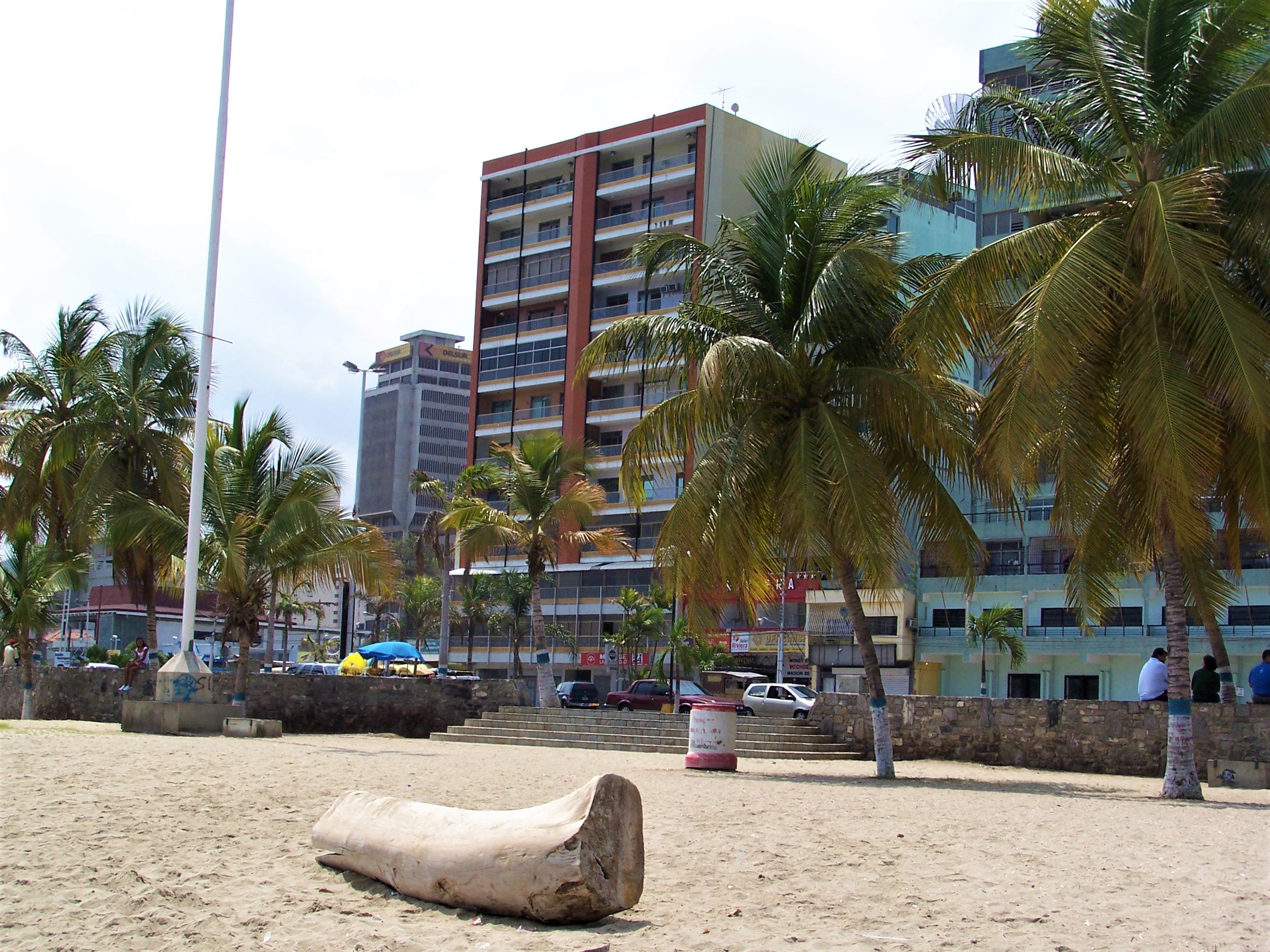 100_1025.jpg