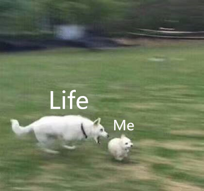 timg.jpg