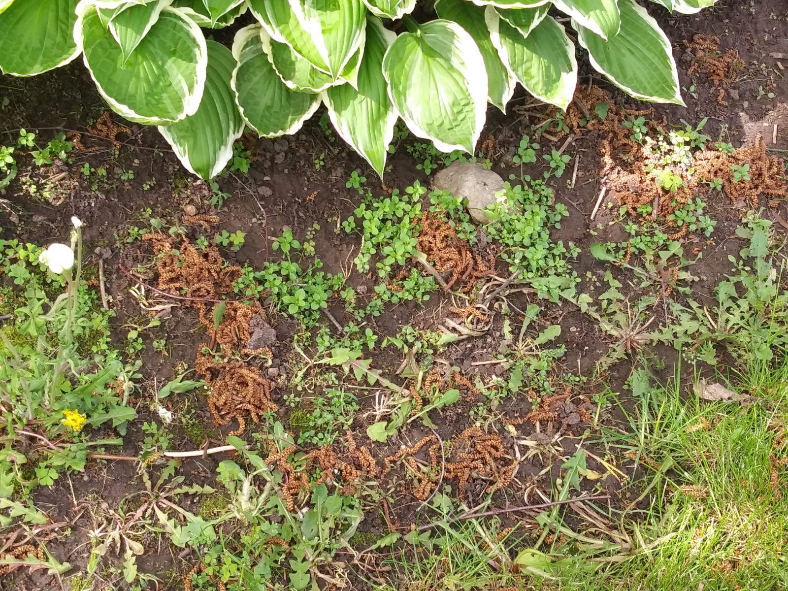 1558900523705_20190526_100724.jpg