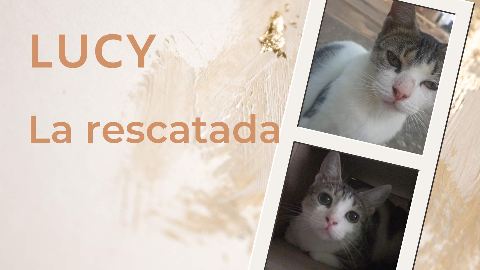 Hablemos sobre los animales - Lucy (1).png