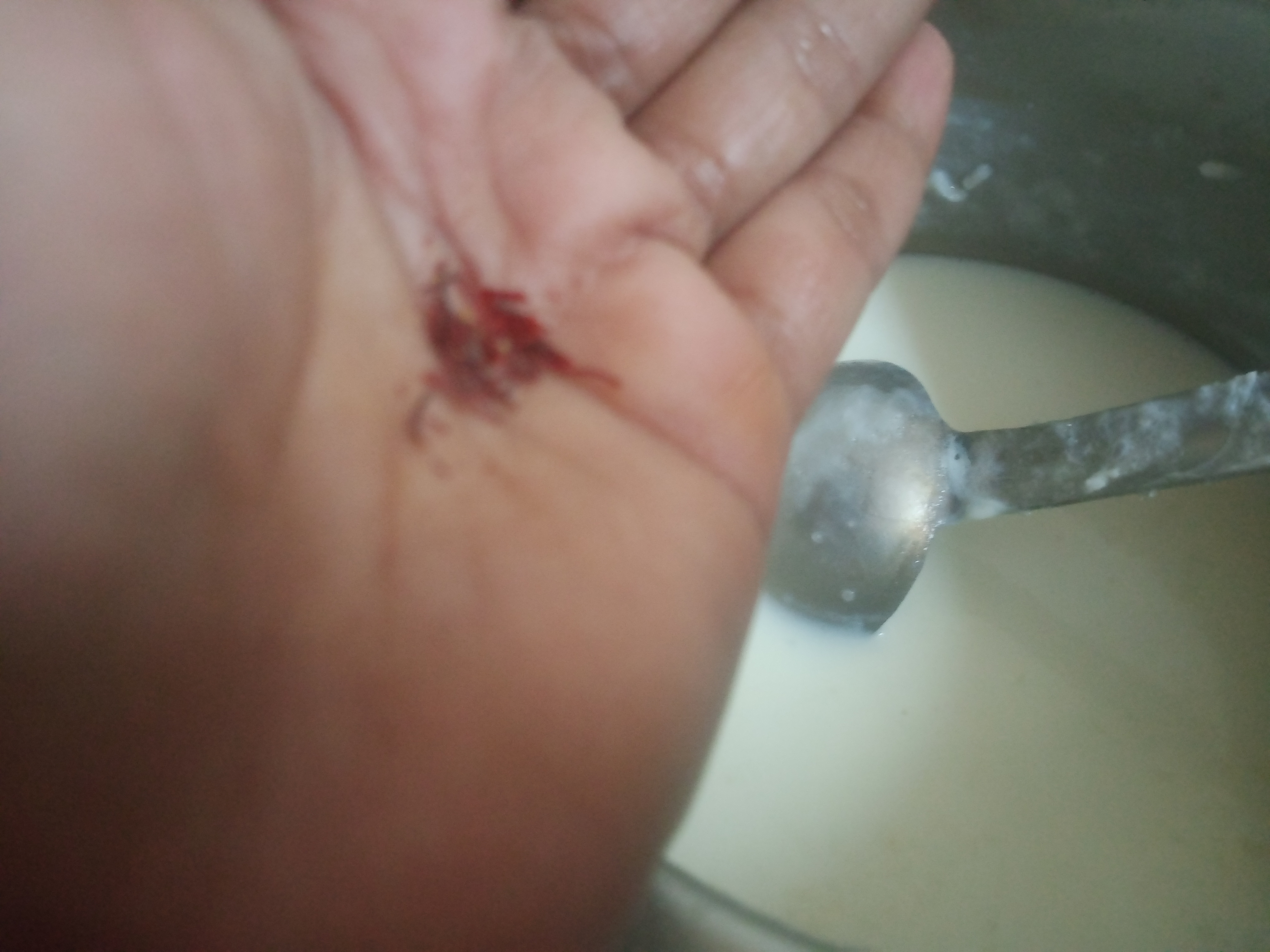 IMG20260321201005.jpg