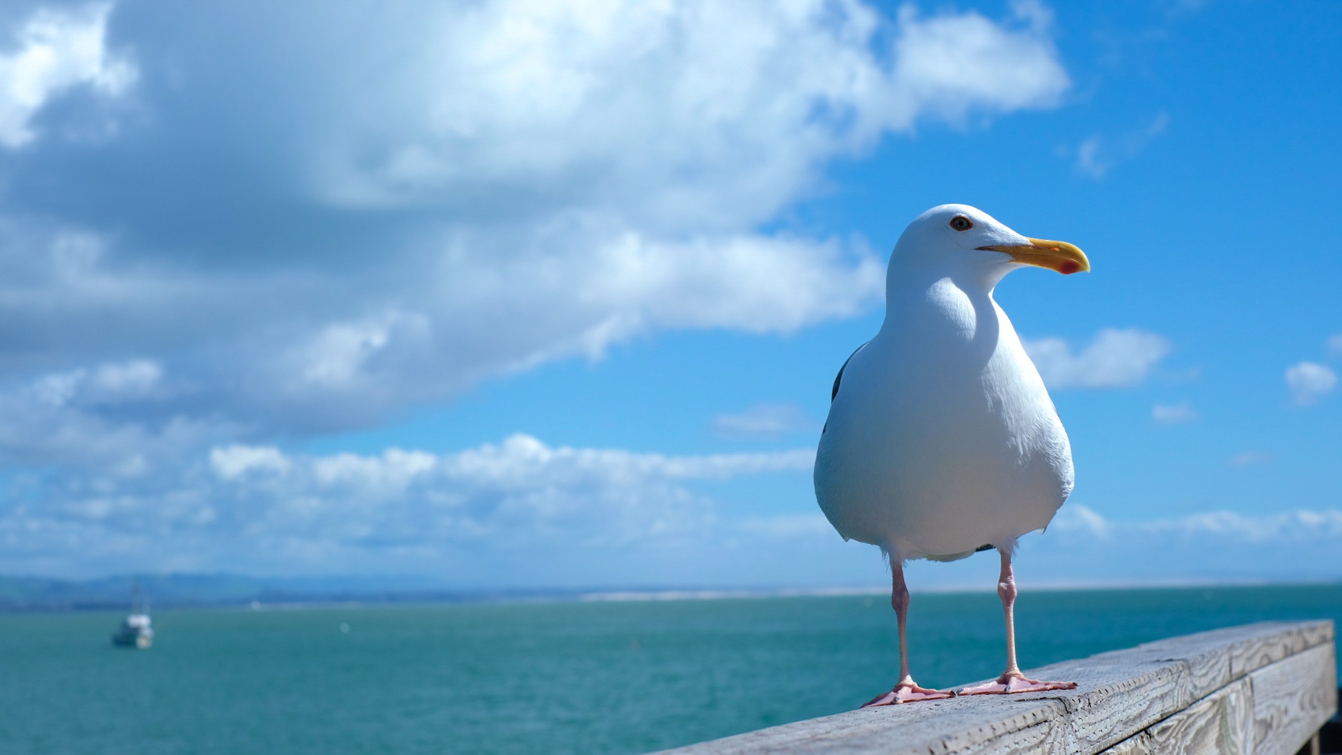 D025D595-EB94-4B0A-BC2B-A9C40C3382E5.jpeg