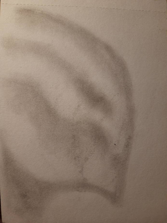 20260511_103811.jpg