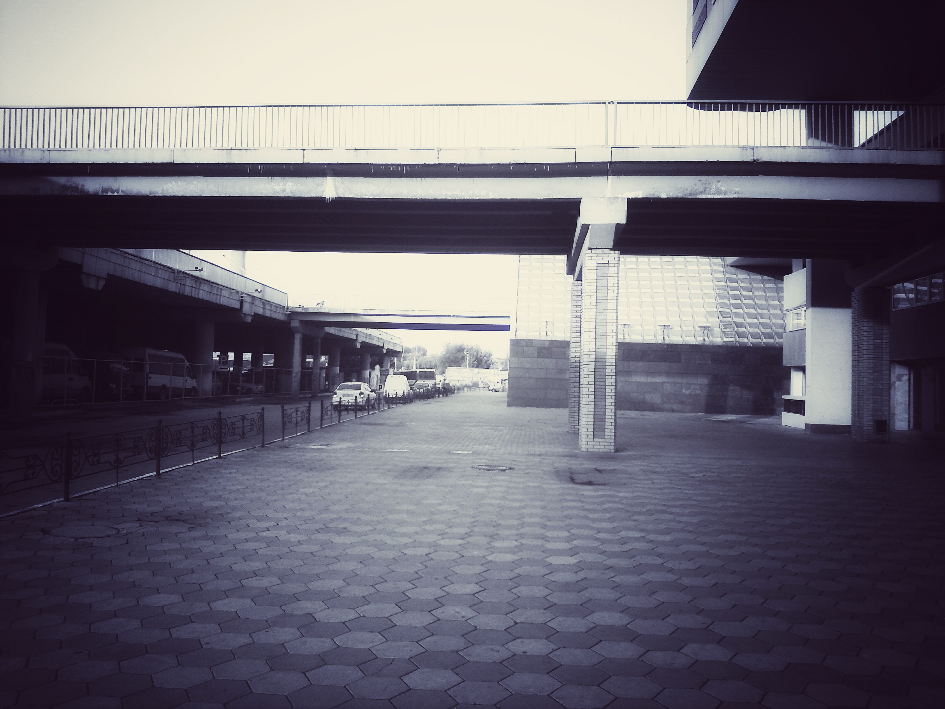 25072009038-01.jpg