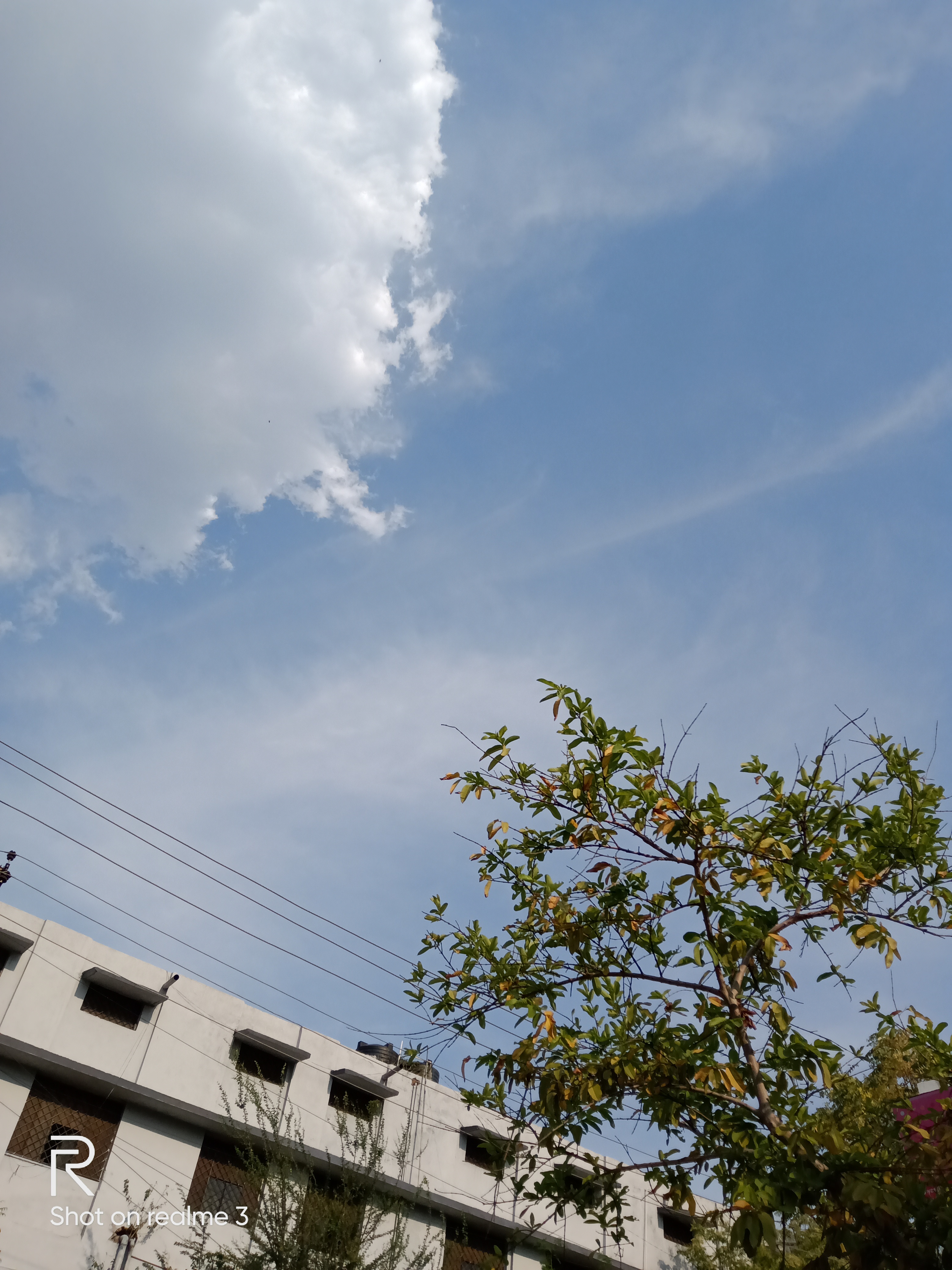 IMG20200414165336.jpg