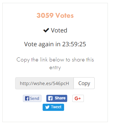 vote.PNG